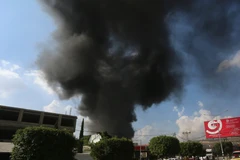 Cao ủy Nhân quyền LHQ kêu gọi bảo vệ người Palestine tại Bờ Tây