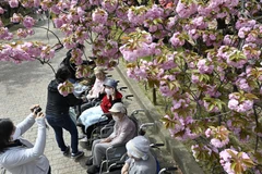 Số người sống thọ trên 100 tuổi tại Nhật Bản tăng cao kỷ lục