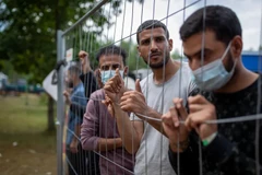 Litva thông qua luật cho phép không tiếp nhận người nhập cư trái phép