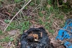 Bản tin 60s: Manh mối quan trọng trong vụ án phân xác ở Bình Dương