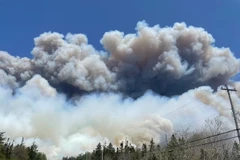 Canada: Ban bố lệnh sơ tán bắt buộc do cháy rừng tại tỉnh Novia Scotia