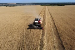 Ba Lan tạm thời ngừng nhập khẩu ngũ cốc Ukraine do nông dân phản đối