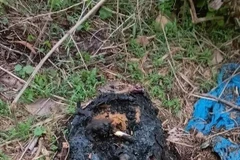 [Video] Tìm phần thi thể còn lại trong vụ đốt xác ở Bình Dương