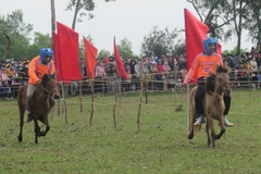 [Photo] Phú Yên: Sôi nổi Hội đua ngựa truyền thống Gò Thì Thùng