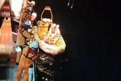 Cứu nạn kịp thời thuyền viên tàu cá bị viêm ruột thừa trên biển