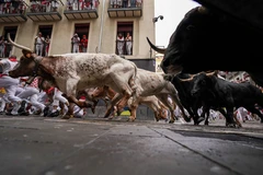 Tây Ban Nha: Hàng nghìn người dân tham gia lễ hội đấu bò San Fermin