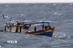 (Ảnh minh họa: TTXVN)