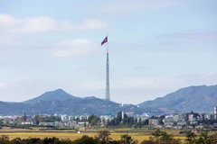 Mỹ phối hợp giải quyết vụ binh sỹ vượt giới tuyến vào Triều Tiên