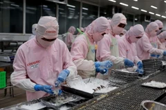 Chế biến tôm xuất khẩu tại Công ty Phát triển Kinh tế Duyên Hải (COFIDEC), huyện Bình Chánh, Thành phố Hồ Chí Minh. (Ảnh: Hồng Đạt/TTXVN)