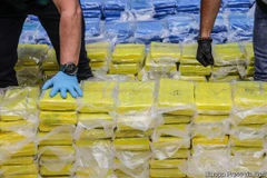 Cảnh sát Bỉ triệt phá đường dây buôn bán cocaine xuyên châu lục