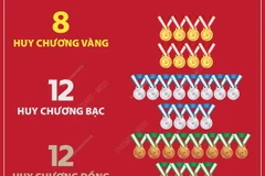 Học sinh Việt Nam đạt nhiều thành tích xuất sắc tại các kỳ thi quốc tế năm 2023