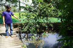 Đồng Tháp: Người dân sống bên rạch Ông Ấu "kêu trời" vì nước ô nhiễm