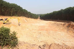 Quảng Trị yêu cầu khắc phục việc đào đất rừng trái phép quy mô lớn