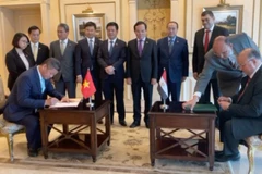 Hai thủ đô của Việt Nam và Ai Cập ký Thỏa thuận Hữu nghị và Hợp tác