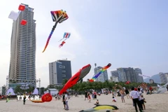 Một góc thành phố Đà Nẵng. (Nguồn: TTXVN)