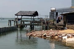 Quảng Nam: Nỗ lực xử lý mặt bằng để thi công công trình bờ kè khẩn cấp