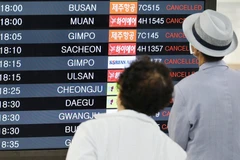 Bão Khannun đổ bộ Hàn Quốc, hàng trăm chuyến bay bị đình chỉ