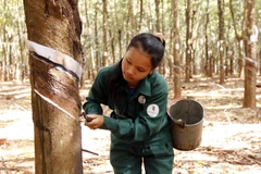 Lào đánh giá doanh nghiệp Việt Nam là những nhà đầu tư có trách nhiệm