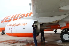 Hàn Quốc: Bắt giữ hành khách đang tìm cách mở cửa máy bay trên không