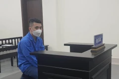 Phạt tù Giám đốc lừa đảo chiếm đoạt hàng tỷ đồng bán vé máy bay