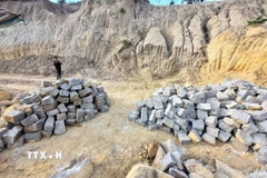 Ảnh minh họa. (Nguồn: TTXVN)