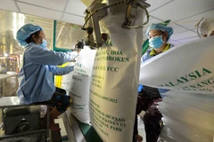 Phê duyệt Chiến lược phát triển thị trường xuất khẩu gạo Việt Nam