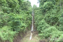 Vụ 15 người cấp cứu ở Điện Biên: Mẫu nước có thành phần thuốc diệt cỏ