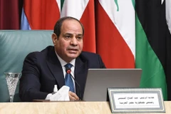 Ai Cập, Tunisia kêu gọi quốc tế hỗ trợ giải quyết khủng hoảng ở Sudan