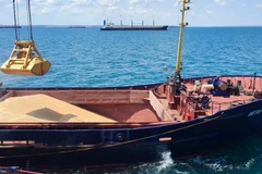 Liên hợp quốc đề xuất giải pháp khôi phục Sáng kiến Ngũ cốc Biển Đen