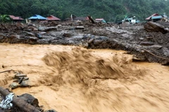 Ảnh minh họa. (Ảnh: Trung Kiên/TTXVN)