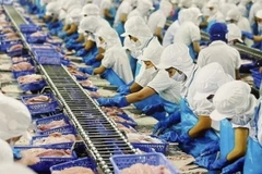 Chế biến sản phẩm cá tra phi lê xuất khẩu. (Ảnh: Hồng Nhung/TTXVN)