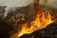 Lửa bốc ngùn ngụt từ đám cháy rừng ở San Bernardino, California, Mỹ. (Ảnh: THX/TTXVN)