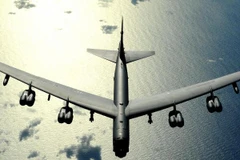 Ảnh minh họa. (Nguồn: malaysiaflyingherald.wordpress.com)