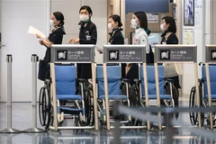 Nhân viên một hãng hàng không làm việc tại sân bay Haneda ở Tokyo, Nhật Bản. (Ảnh: AFP/TTXVN)