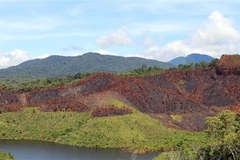 Hiện trường vụ cháy. (Ảnh: Cao Nguyên/TTXVN)