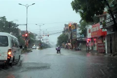 Ảnh minh họa. (Ảnh: Hoàng Hùng/TTXVN)