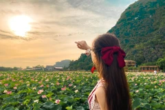 Đầm sen kỳ lạ nở tới tận mùa Đông dưới chân núi Ngọa Long 