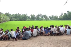 61 đối tượng tham gia đá gà ăn tiền bị lực lượng chức năng tỉnh Cà Mau bắt giữ. (Ảnh: Thế Anh/TTXVN)