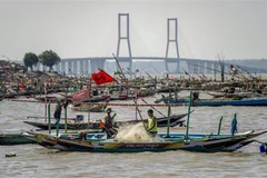 Ngư dân Indonesia đánh bắt cá tại vùng biển Surabaya, tỉnh Tây Java. (Ảnh: AFP/TTXVN)