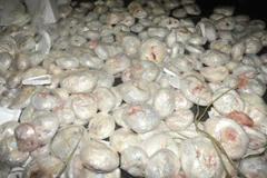 Lượng hàng thu giữ trên bao gồm thực phẩm đã hết hạn, không rõ nguồn gốc. Ảnh minh họa. (Nguồn: news.163.com)