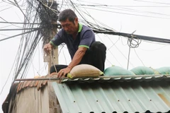 Công tác gia cố lại nhà ở để đảm bảo an toàn trước khi bão đổ bộ đang được người dân tỉnh Phú Yên khẩn trương thực hiện. (Ảnh: Phạm Cường/TTXVN)