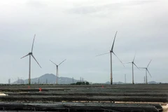 Dự án điện gió tại Sóc Trăng dự kiến hoàn thành vào năm 2023. Ảnh minh họa. (Ảnh: Công Thử/TTXVN)
