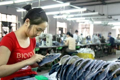 (Ảnh minh họa: Hoàng Hùng/TTXVN)