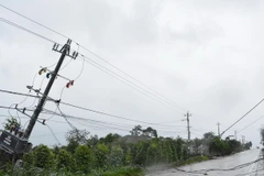 Cột điện trên địa bàn huyện M' Đrắk, Đắk Lắk bị gãy đổ. (Ảnh: Tuấn Anh/TTXVN)