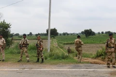 Lực lượng an ninh Ấn Độ gác tại khu vực Rohtak. (Nguồn: AFP/TTXVN)