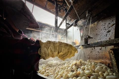 Nhọc nhằn nghề kéo kén thủ công ở làng nghề ươm tơ Cổ Chất