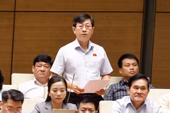 Đại biểu Nguyễn Hữu Thông, Phó đoàn đại biểu Quốc hội tỉnh Bình Thuận. (Ảnh: TTXVN)
