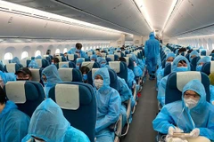 Hành khách trên một chuyến bay quốc tế về Việt Nam. (Ảnh: CTV/Vietnam+)