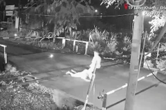 Anh Trịnh Văn Tài - nhân viên gác chắn Đội đường sắt Biên Hòa, Công ty cổ phần Đường sắt Sài Gòn kéo người đàn ông ra khỏi đường sắt. (Nguồn ảnh: Tổng công ty Đường sắt Việt Nam cung cấp)