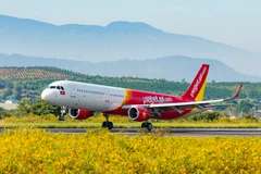 Hãng hàng không Vietjet hiện đang khai thác 12 đường bay thẳng từ Việt Nam đến Hàn Quốc. (Ảnh: CTV/Vietnam+)